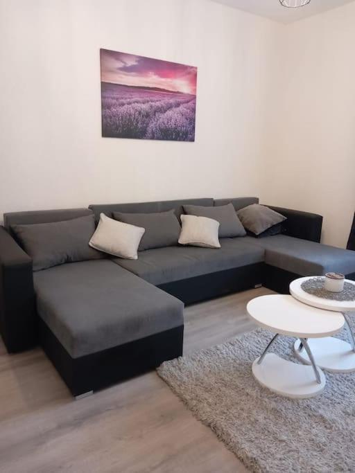 Apartment Dora-100M From The Central Beach Makarska Kültér fotó